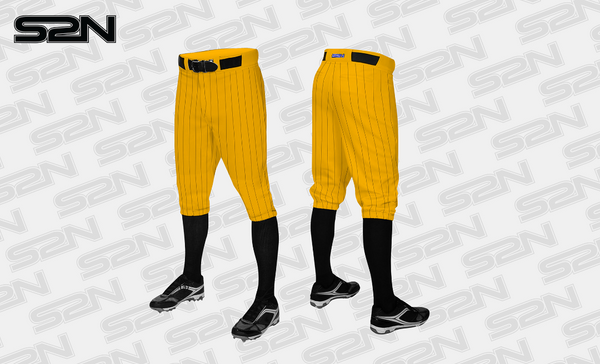 Germantown FP gold pins pant